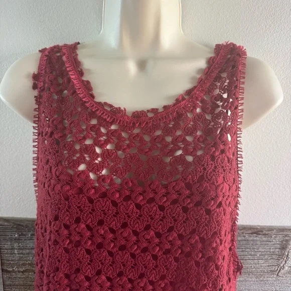 Free People Lily Lace Blouson Dress Red Raisin Size Small (T1) - Picture 3 of 10